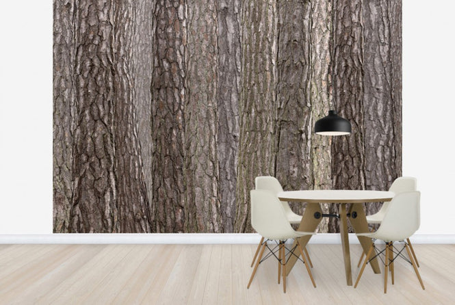 PHOTOWALL / Park Brown (e25094)