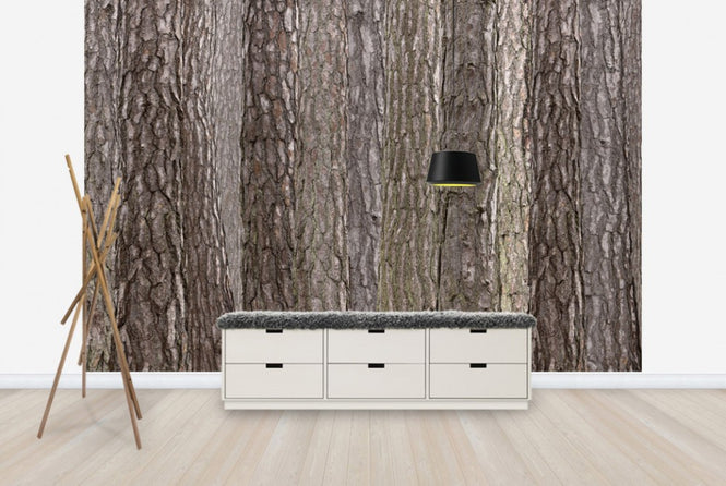 PHOTOWALL / Park Brown (e25094)