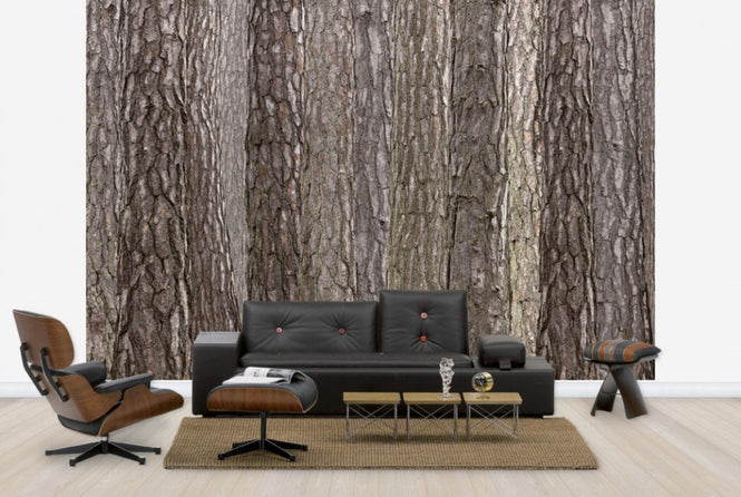 PHOTOWALL / Park Brown (e25094)