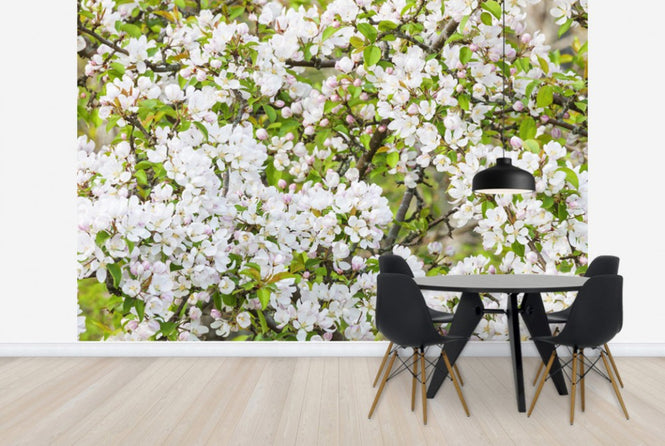 PHOTOWALL / Apple Flowers (e25116)