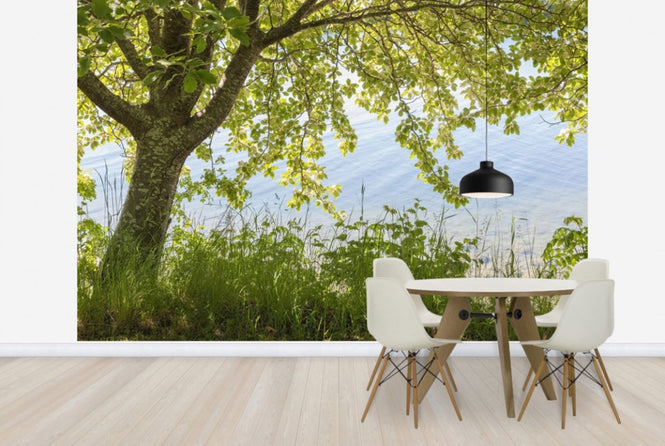 PHOTOWALL / Spring Tree (e25124)