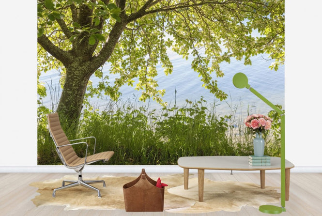 PHOTOWALL / Spring Tree (e25124)