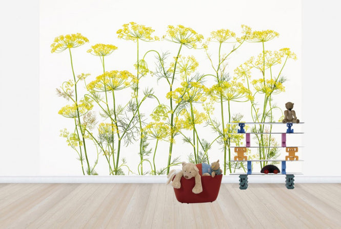 PHOTOWALL / Dill Herb (e25145)