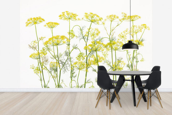 PHOTOWALL / Dill Herb (e25145)