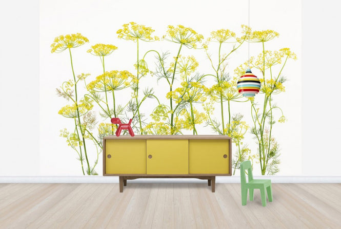 PHOTOWALL / Dill Herb (e25145)