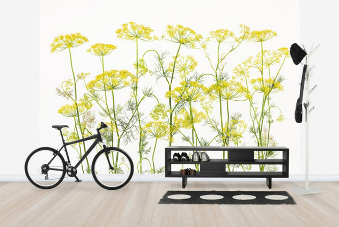 PHOTOWALL / Dill Herb (e25145)