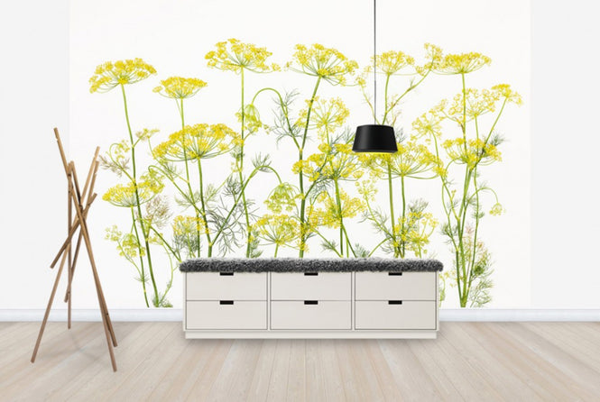 PHOTOWALL / Dill Herb (e25145)
