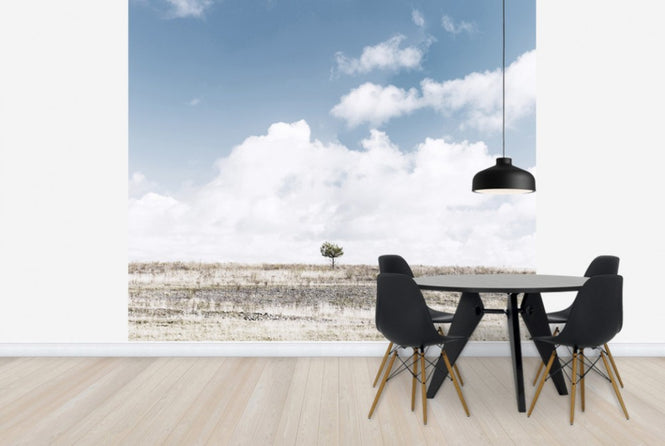 PHOTOWALL / Alone Tree (e25169)