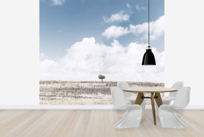 PHOTOWALL / Alone Tree (e25169)