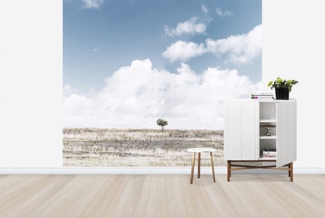 PHOTOWALL / Alone Tree (e25169)