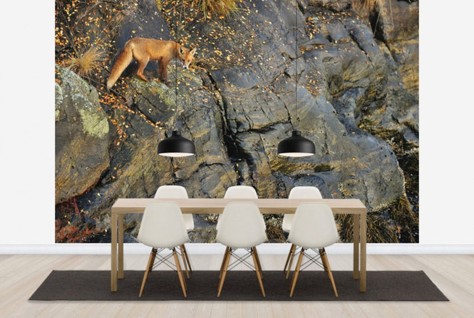 PHOTOWALL / Fox on the Rocks (e29446)