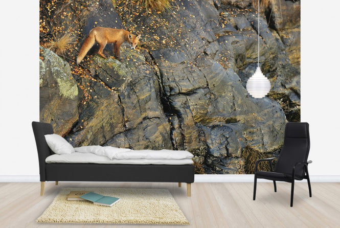 PHOTOWALL / Fox on the Rocks (e29446)