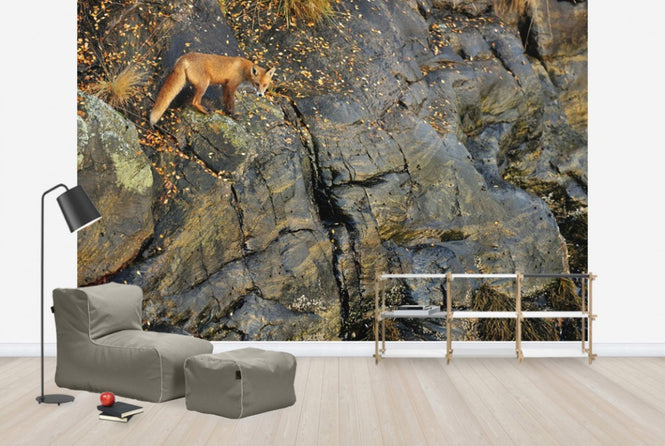 PHOTOWALL / Fox on the Rocks (e29446)