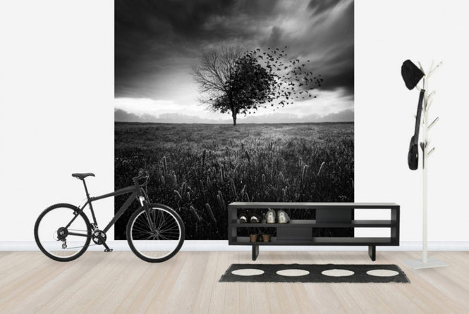 PHOTOWALL / Illusion of a Lost Feather (e29451)