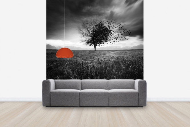 PHOTOWALL / Illusion of a Lost Feather (e29451)
