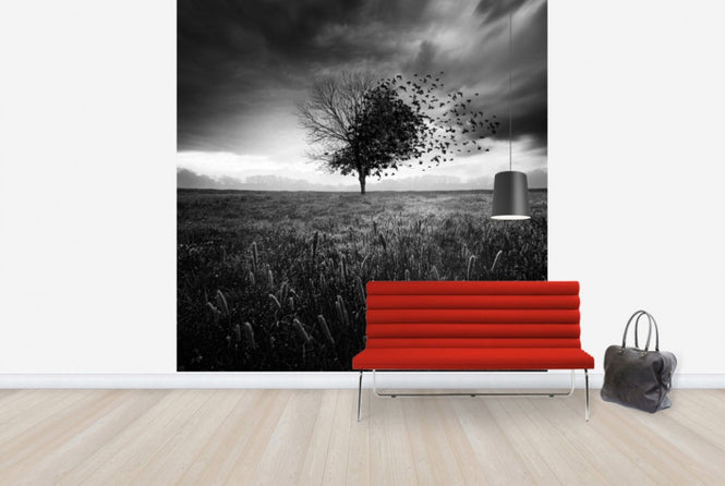 PHOTOWALL / Illusion of a Lost Feather (e29451)