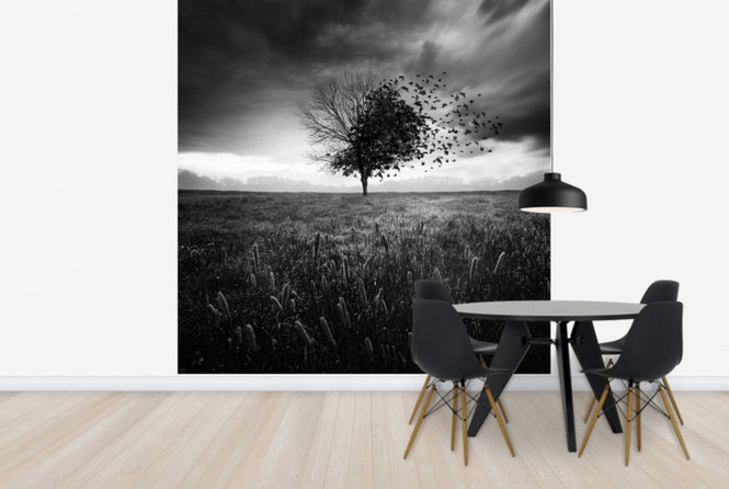 PHOTOWALL / Illusion of a Lost Feather (e29451)