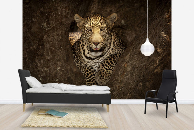 PHOTOWALL / Leopard Resting on a Tree at Masai Mara (e29464)