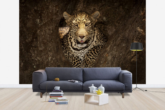 PHOTOWALL / Leopard Resting on a Tree at Masai Mara (e29464)