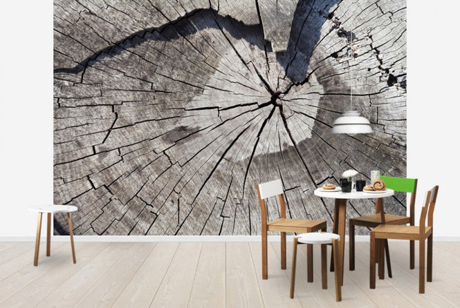 PHOTOWALL / Old Tree Trunk (e40419)