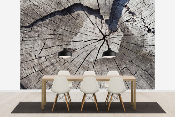 PHOTOWALL / Old Tree Trunk (e40419)