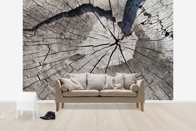 PHOTOWALL / Old Tree Trunk (e40419)