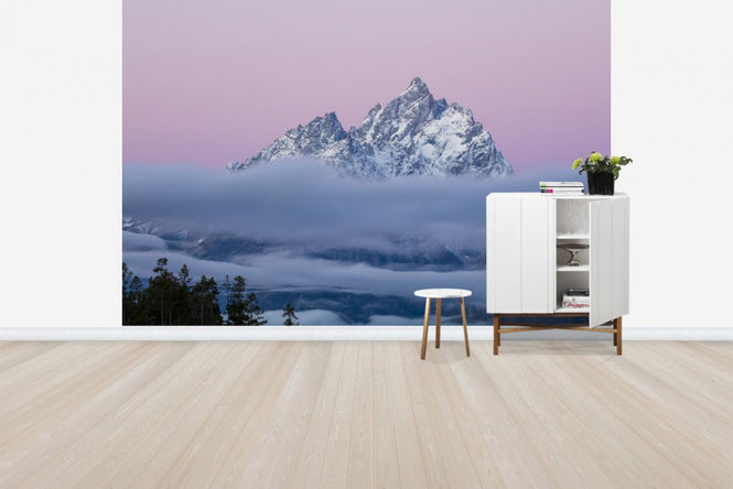 PHOTOWALL / Wrapped in Fog (e29530)