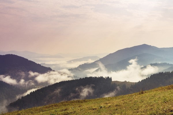 PHOTOWALL / Morning in Carpathian Mountains (e29535)