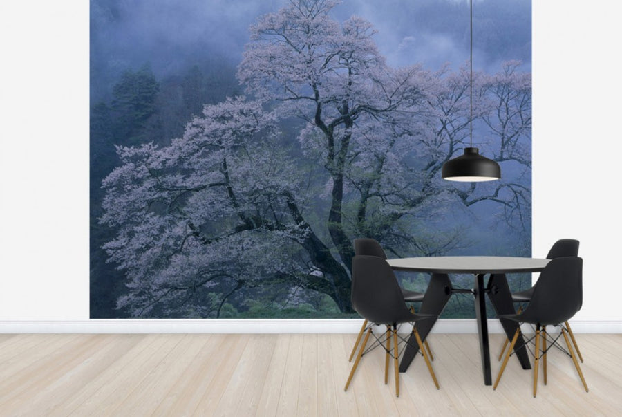 PHOTOWALL / Mystical Cherry Blossoms (e29537)