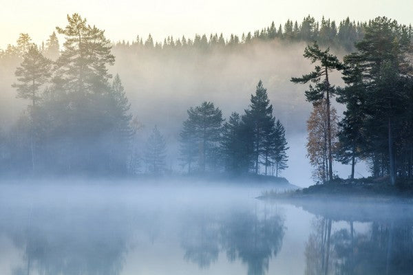 PHOTOWALL / Norwegian Mist (e29539)