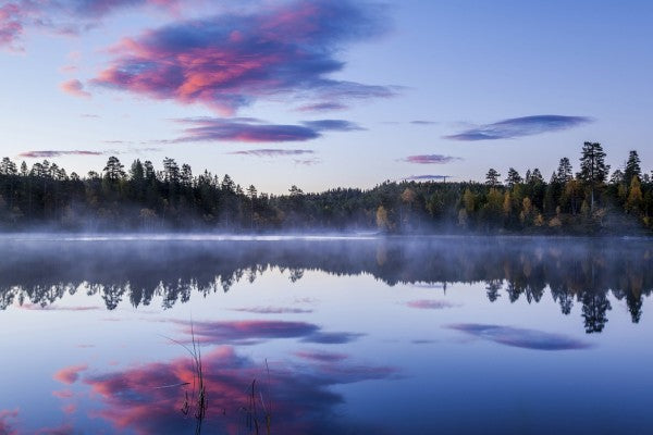 PHOTOWALL / Norwegian Morning (e29540)