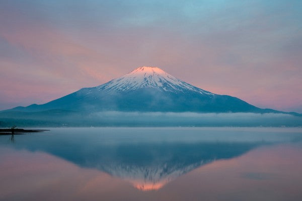 PHOTOWALL / Color of Sunrise (e29502)