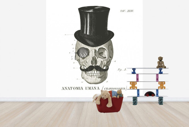 PHOTOWALL / Dandy Bones I (e25530)