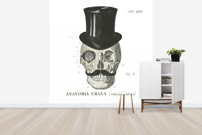PHOTOWALL / Dandy Bones I (e25530)