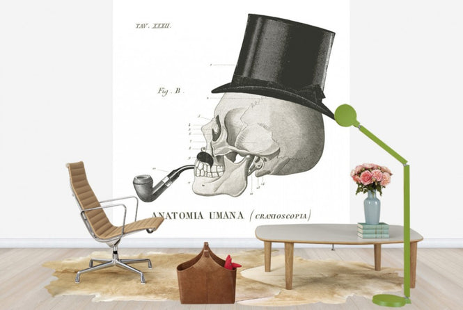 PHOTOWALL / Dandy Bones II (e25531)