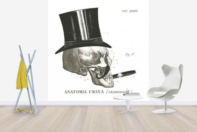 PHOTOWALL / Dandy Bones III (e25532)