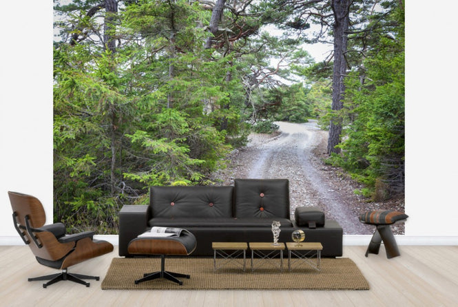 PHOTOWALL / Forest Sandy Road (e25537)