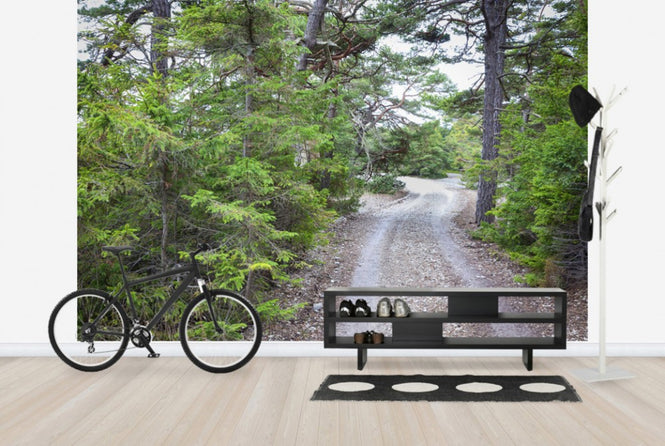 PHOTOWALL / Forest Sandy Road (e25537)