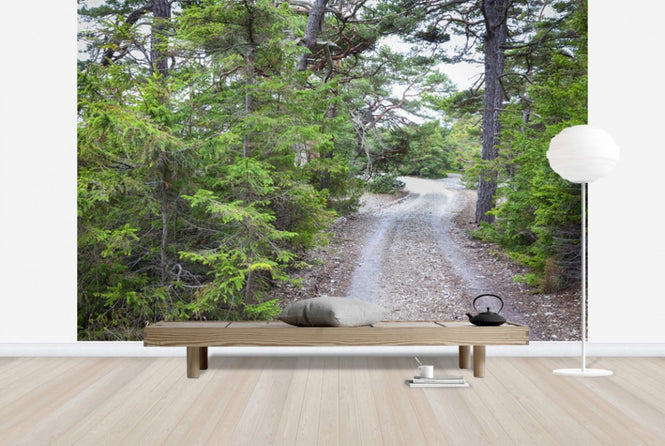 PHOTOWALL / Forest Sandy Road (e25537)
