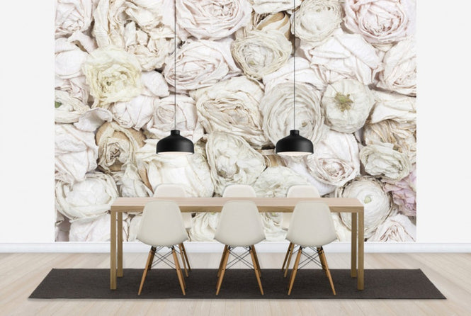 PHOTOWALL / Old White Roses (e25540)