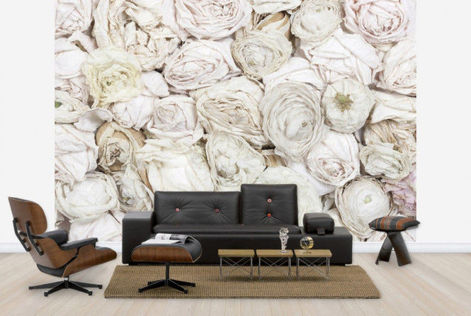 PHOTOWALL / Old White Roses (e25540)