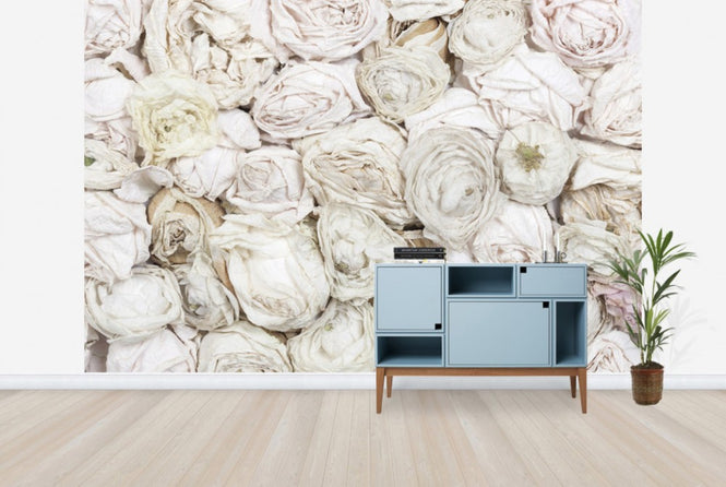 PHOTOWALL / Old White Roses (e25540)