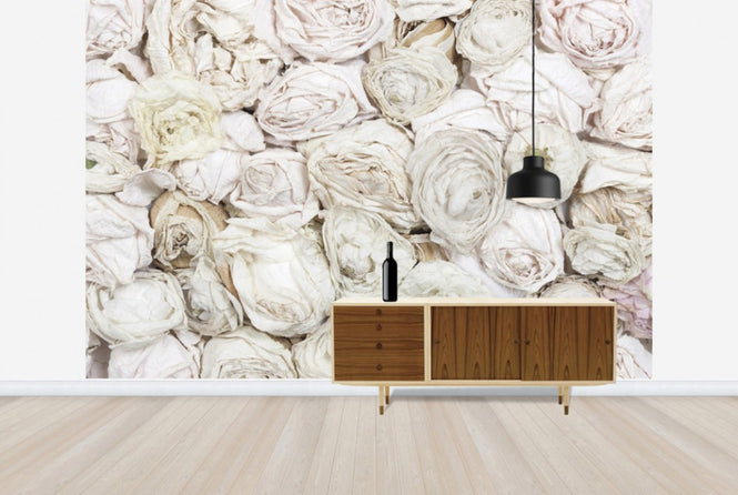 PHOTOWALL / Old White Roses (e25540)