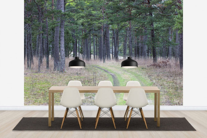 PHOTOWALL / Pine Forest Road (e25541)