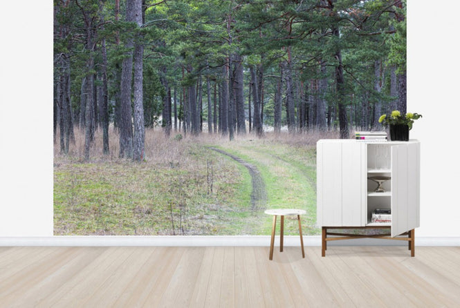 PHOTOWALL / Pine Forest Road (e25541)
