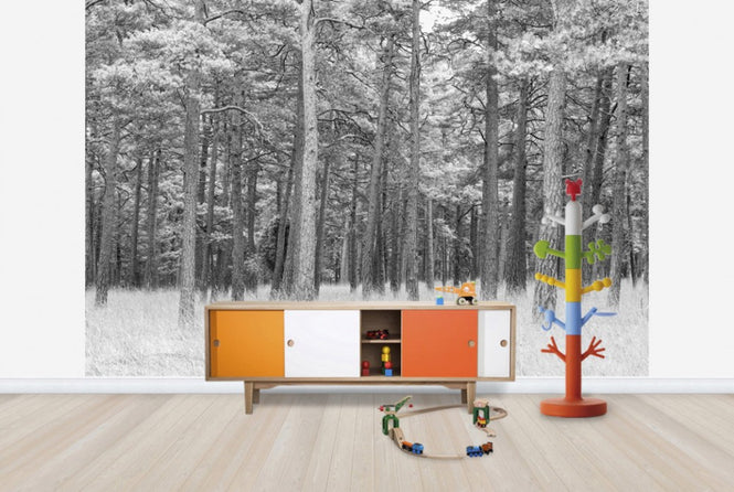 PHOTOWALL / Pine Forest (e25542)