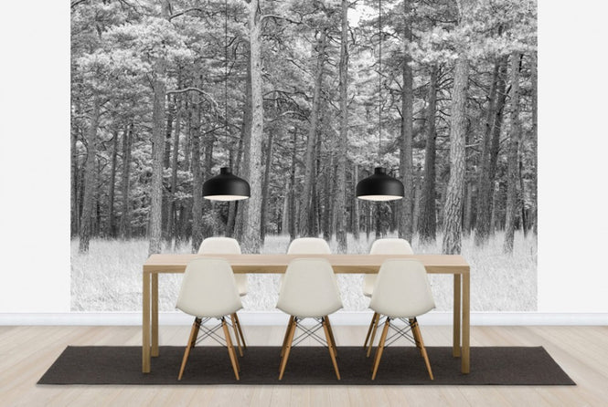 PHOTOWALL / Pine Forest (e25542)