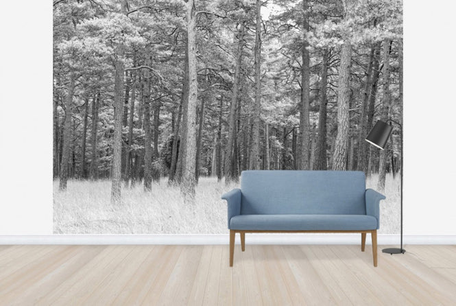 PHOTOWALL / Pine Forest (e25542)