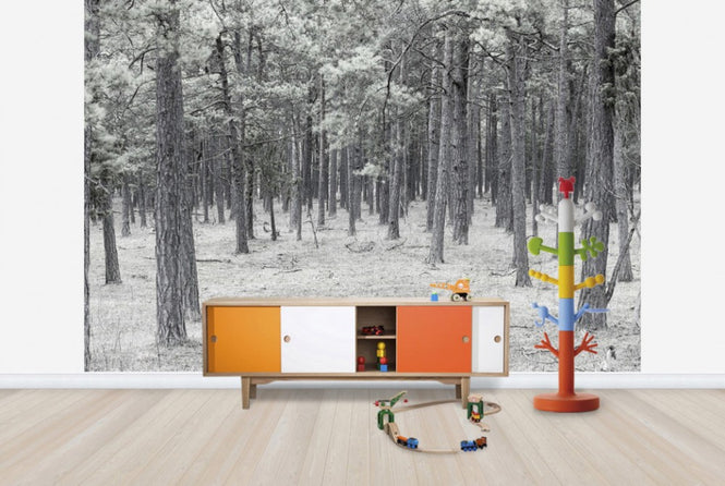 PHOTOWALL / Pine Tree Forest (e25543)