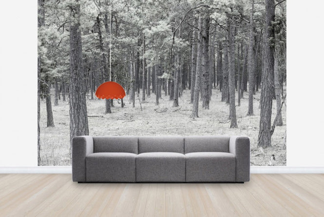PHOTOWALL / Pine Tree Forest (e25543)